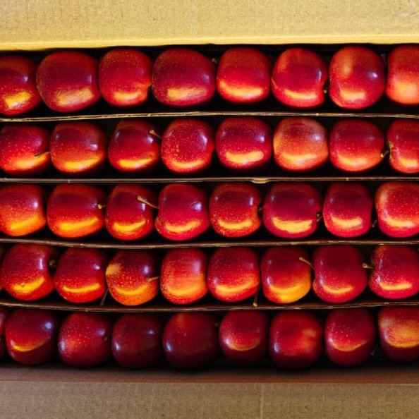 Gala Apples (Bite Size) - Image 2
